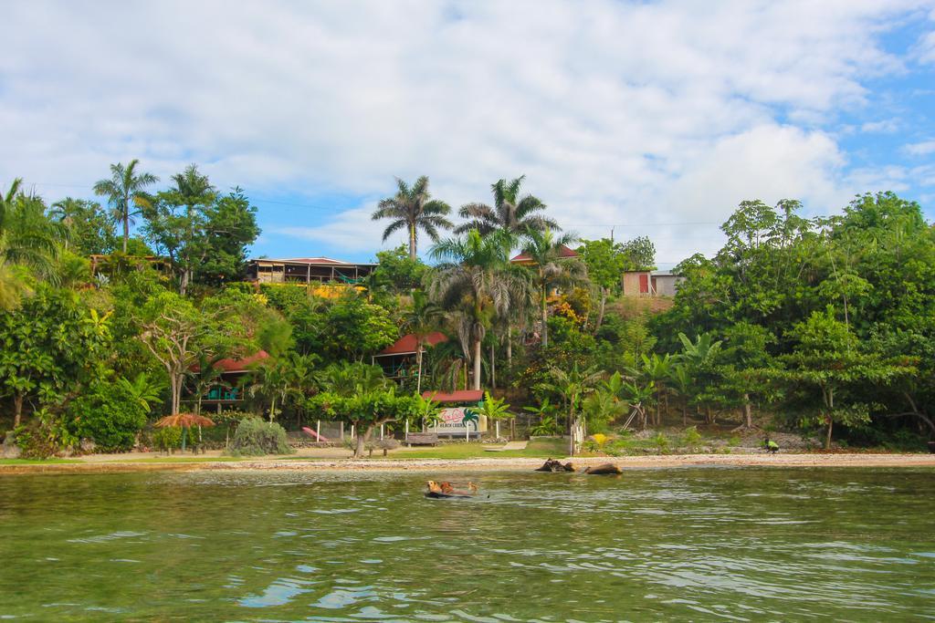 Bed and Breakfast Zion Country Manchioneal Esterno foto